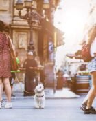 Style31 da Vinci Renaissance Genius and Master of Many Arts