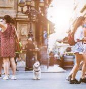 Style31 da Vinci Renaissance Genius and Master of Many Arts