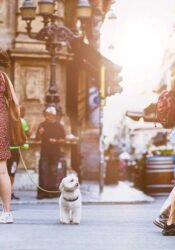 Style31 da Vinci Renaissance Genius and Master of Many Arts