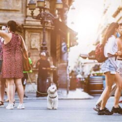 Style31 da Vinci Renaissance Genius and Master of Many Arts