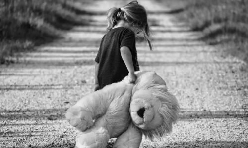 Style41 Stocks for Investment: Unleashing Potential Opportunities